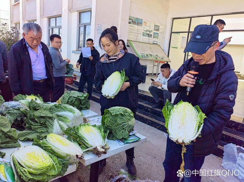 选择网站定制开发，让您的品牌更具竞争力