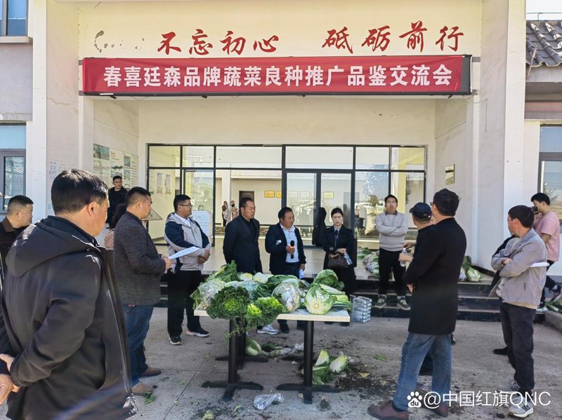 小程序制作：解锁商业新可能